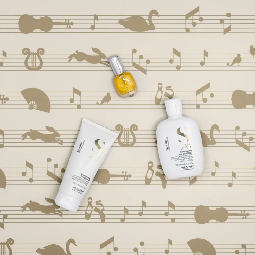 Подарочный набор для блеска волос Semi di Lino Diamond Holiday Kit