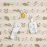 Подарочный набор для блеска волос Semi di Lino Diamond Holiday Kit